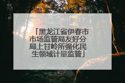 黑龙江省伊春市市场监管局友好分局上甘岭所强化民生领域计量监管