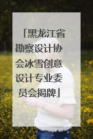 黑龙江省勘察设计协会冰雪创意设计专业委员会揭牌