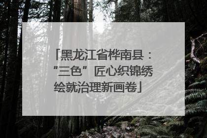 黑龙江省桦南县：“三色”匠心织锦绣 绘就治理新画卷