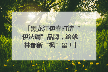 黑龙江伊春打造“伊法调”品牌，绘就林都新“枫”景！