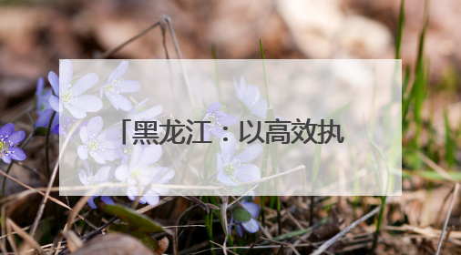 黑龙江：以高效执行守护“粮袋子”