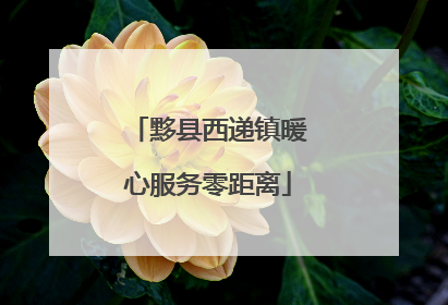 黟县西递镇暖心服务零距离