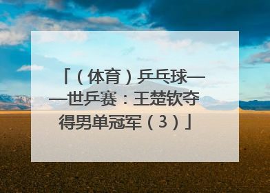（体育）乒乓球——世乒赛：王楚钦夺得男单冠军（3）