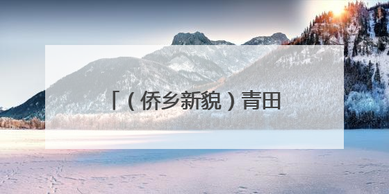（侨乡新貌）青田“侨贸网络”助推浙江优质农产品出海