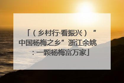 （乡村行·看振兴）“中国杨梅之乡”浙江余姚：一颗杨梅富万家