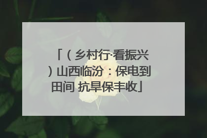 （乡村行·看振兴）山西临汾：保电到田间 抗旱保丰收