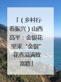 （乡村行·看振兴）山西高平：金银花里采“金银” 花香溢满致富路
