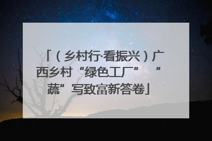 （乡村行·看振兴）广西乡村“绿色工厂” “蔬”写致富新答卷