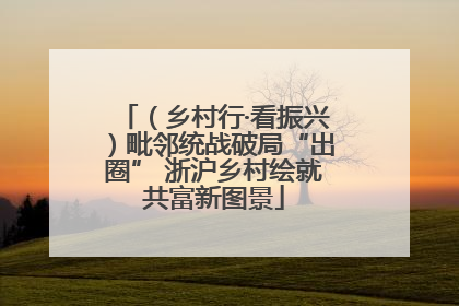 （乡村行·看振兴）毗邻统战破局“出圈” 浙沪乡村绘就共富新图景