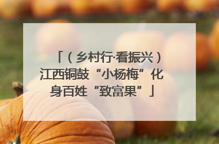 （乡村行·看振兴）江西铜鼓“小杨梅”化身百姓“致富果”