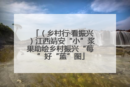 （乡村行·看振兴）江西靖安“小”浆果助绘乡村振兴“莓”好“蓝”图