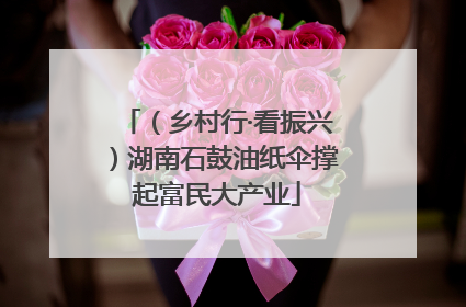 （乡村行·看振兴）湖南石鼓油纸伞撑起富民大产业