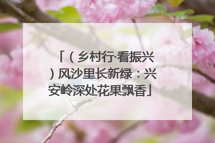 （乡村行·看振兴）风沙里长新绿：兴安岭深处花果飘香