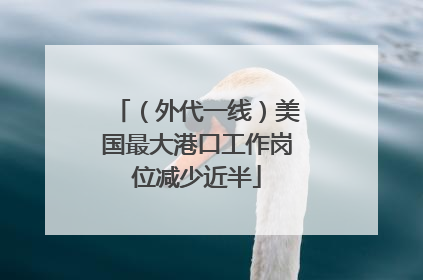 （外代一线）美国最大港口工作岗位减少近半