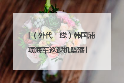 （外代一线）韩国浦项海军巡逻机坠落