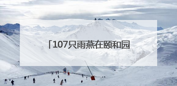 107只雨燕在颐和园完成“年度体检”，北京雨燕数量已超一万只