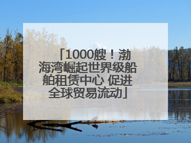 1000艘！渤海湾崛起世界级船舶租赁中心 促进全球贸易流动