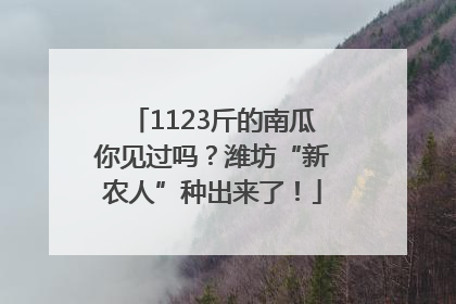 1123斤的南瓜你见过吗？潍坊“新农人”种出来了！