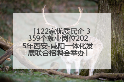 122家优质民企 3359个就业岗位2025年西安-咸阳一体化发展联合招聘会举办