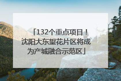 132个重点项目！沈阳大东望花片区将成为产城融合示范区