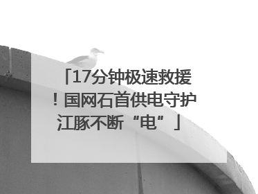 17分钟极速救援！国网石首供电守护江豚不断“电”