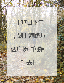 17日下午，到上海路万达广场“问招”去