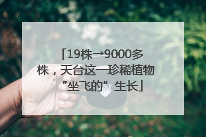 19株→9000多株，天台这一珍稀植物“坐飞的”生长