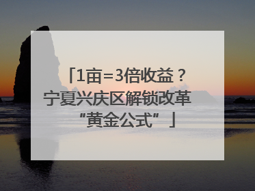 1亩=3倍收益？宁夏兴庆区解锁改革“黄金公式”