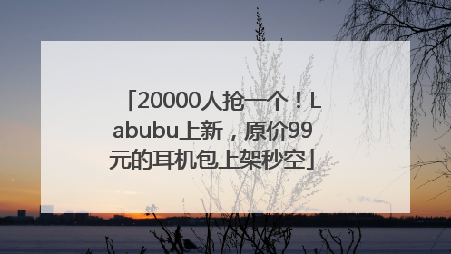 20000人抢一个！Labubu上新，原价99元的耳机包上架秒空