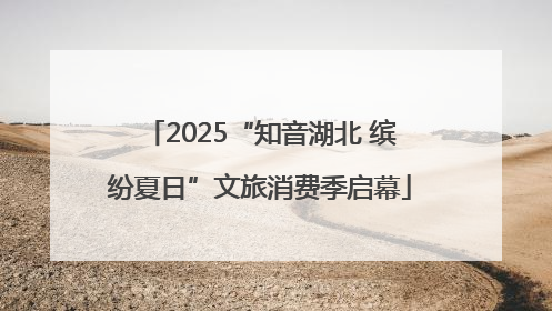 2025“知音湖北 缤纷夏日”文旅消费季启幕