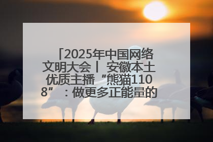 2025年中国网络文明大会丨 安徽本土优质主播“熊猫1108”：做更多正能量的事情 带给大家快乐