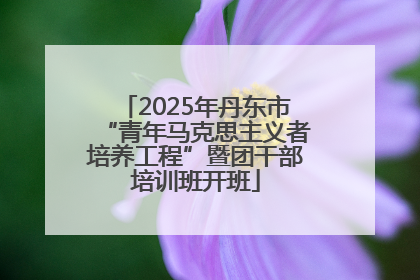 2025年丹东市“青年马克思主义者培养工程”暨团干部培训班开班