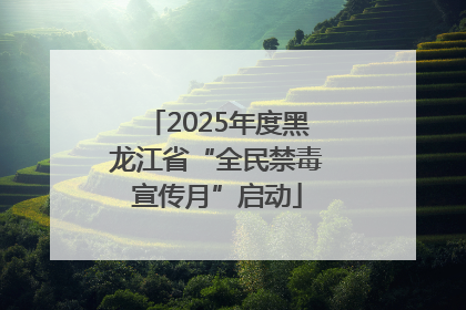 2025年度黑龙江省“全民禁毒宣传月”启动