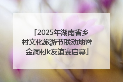 2025年湖南省乡村文化旅游节联动地暨金洞村k友谊赛启幕
