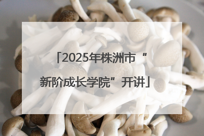 2025年株洲市“新阶成长学院”开讲