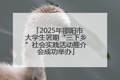 2025年邵阳市大学生暑期“三下乡”社会实践活动推介会成功举办