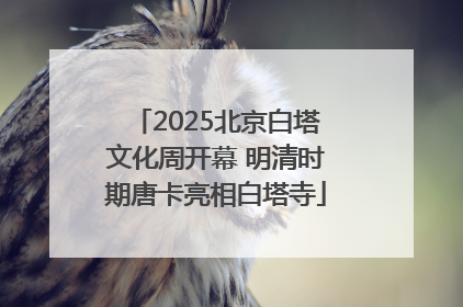 2025北京白塔文化周开幕 明清时期唐卡亮相白塔寺
