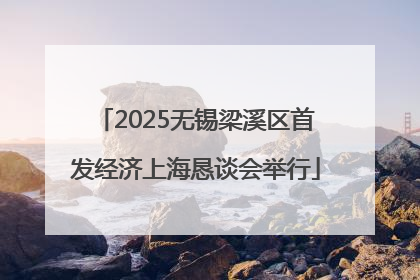 2025无锡梁溪区首发经济上海恳谈会举行
