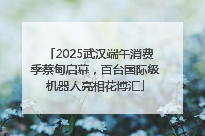 2025武汉端午消费季蔡甸启幕，百台国际级机器人亮相花博汇