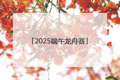 2025端午龙舟赛