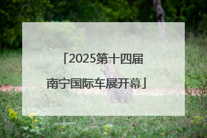 2025第十四届南宁国际车展开幕