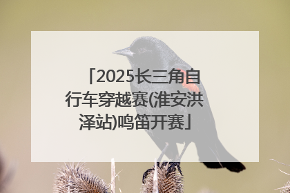 2025长三角自行车穿越赛(淮安洪泽站)鸣笛开赛