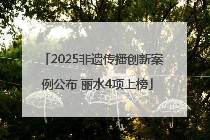2025非遗传播创新案例公布 丽水4项上榜
