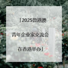 2025鲁港澳青年企业家交流会在香港举办