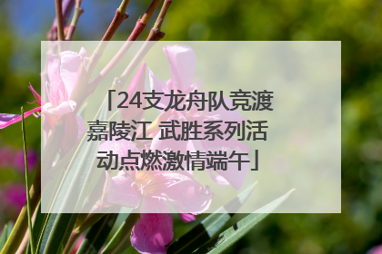 24支龙舟队竞渡嘉陵江 武胜系列活动点燃激情端午