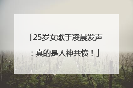 25岁女歌手凌晨发声：真的是人神共愤！