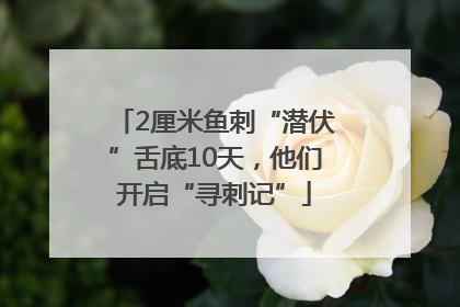 2厘米鱼刺“潜伏”舌底10天，他们开启“寻刺记”