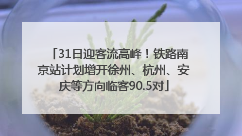 31日迎客流高峰！铁路南京站计划增开徐州、杭州、安庆等方向临客90.5对