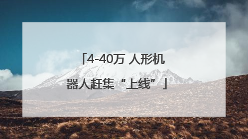 4-40万 人形机器人赶集“上线”