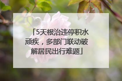 5天根治违停积水顽疾，多部门联动破解居民出行难题